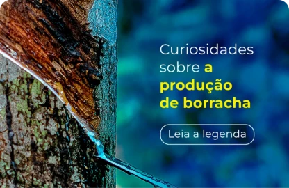Curiosidades sobre a produção de borracha