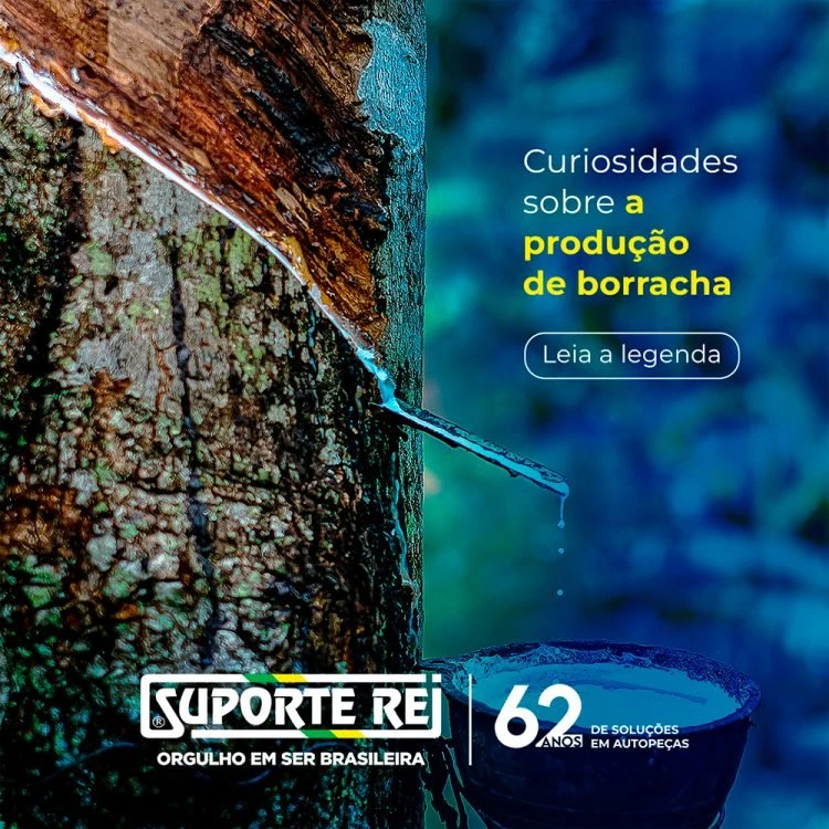 borracha-750x750.jpg