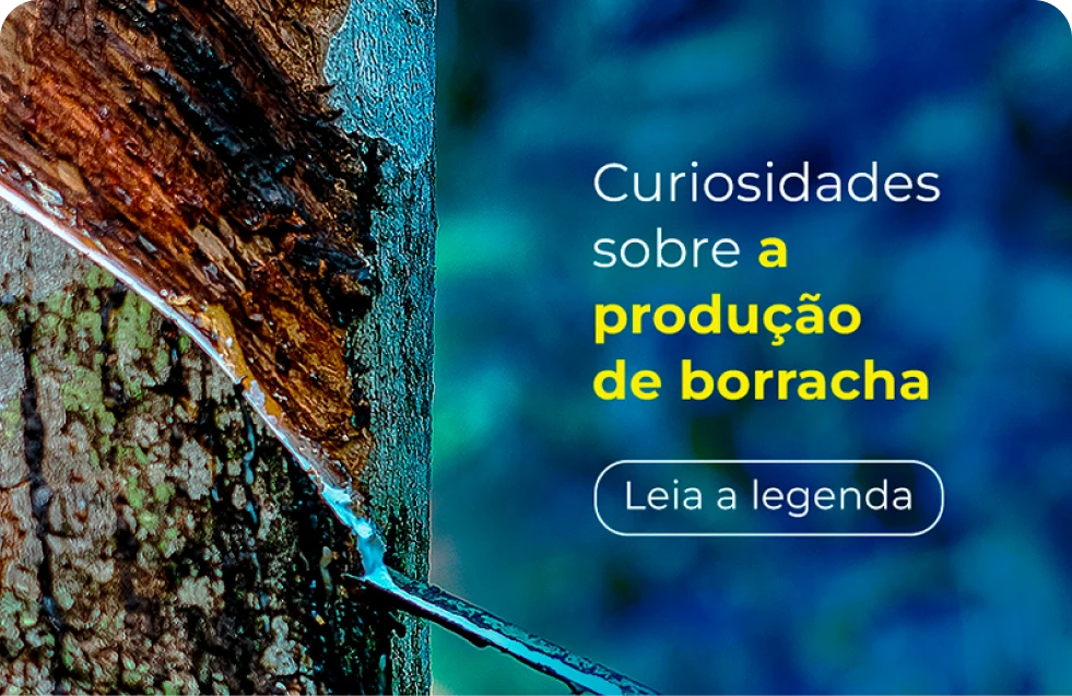 blog-suporte-rei-novidades-curiosidades-producao-de-borracha.webp