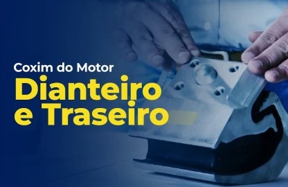 Coxins - Diferenças entre o Dianteiro e Traseiro